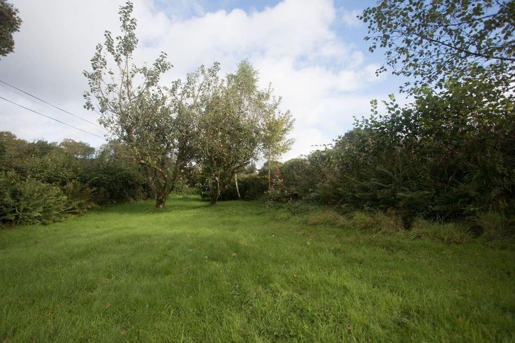 Perfect Cottage Retreat Near The Brecon Beacons Llanwrda Exterior photo